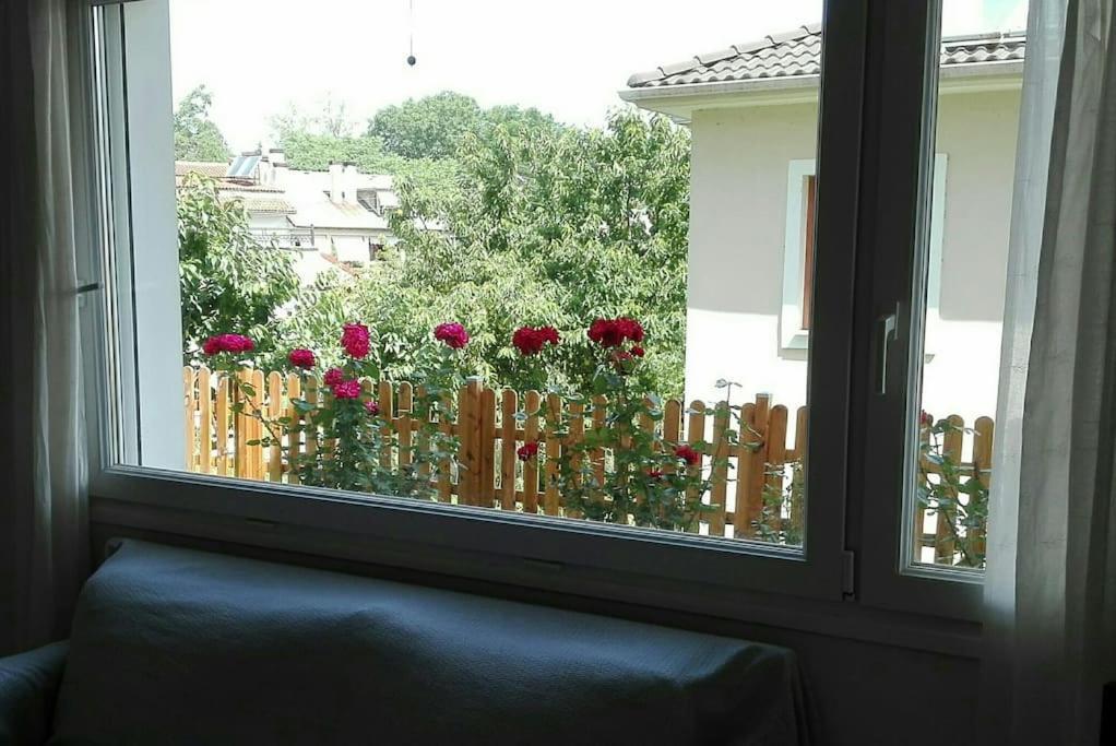 Lily'S Apartment Ioannina Buitenkant foto